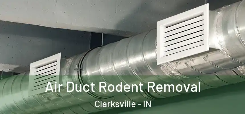 Air Duct Rodent Removal Clarksville - IN