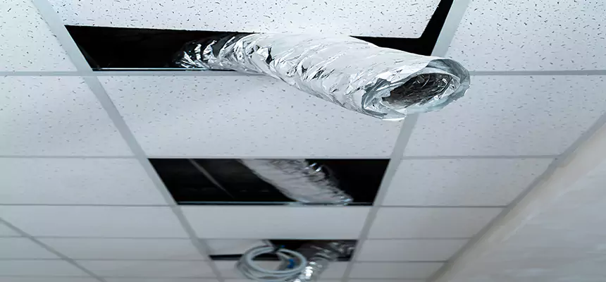 Our Air Duct Pet Hair Removal Services in Clarksville, IN