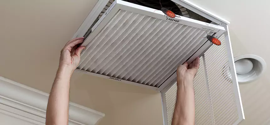 Our Insect Removal from Air Ducts Services in Clarksville, IN