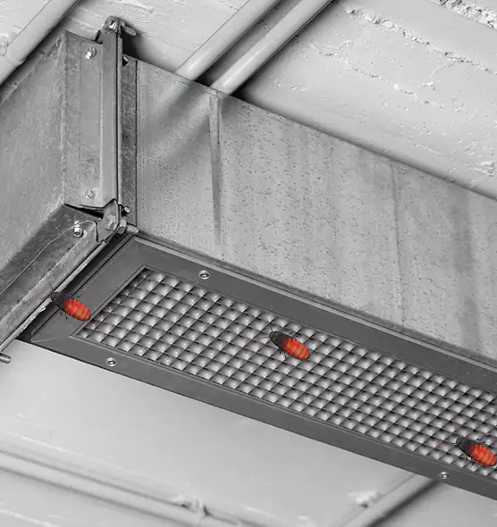 About Air Duct Cockroach Removal in Clarksville, IN