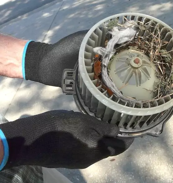 About Air Duct Mice Removal in Clarksville, IN