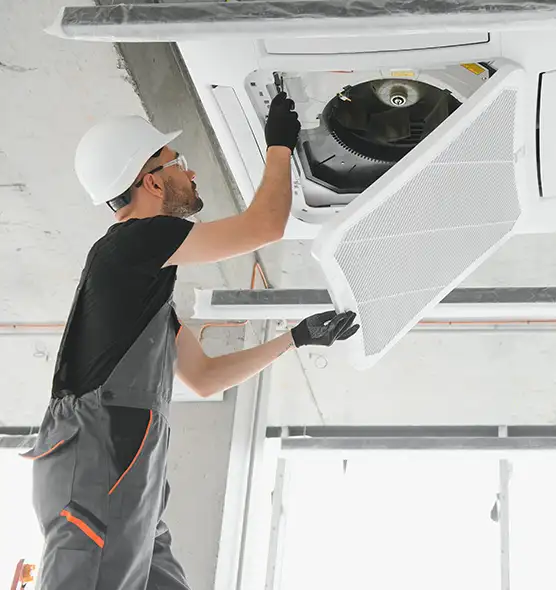 About Air Duct Rodent Removal in Clarksville, IN