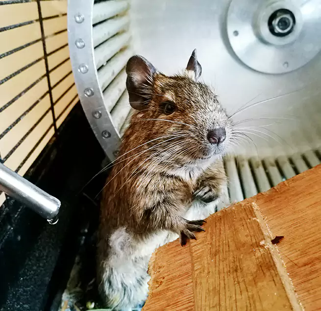 Why Homeowners & Businesses Trust Us Clarksville, IN?